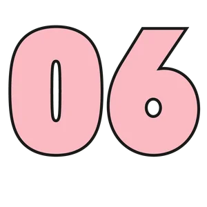 06